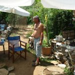 balazsh 2011